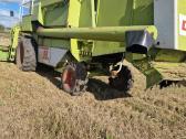 Claas 98 su rapso stalu - nuotraukos Nr. 4