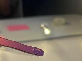 iPod nano 7 rose - nuotraukos Nr. 7