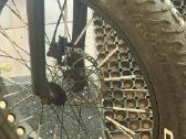 Fatbike elektrinis Momas Bafang - nuotraukos Nr. 2