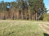 Žemės sklypas 1.3 ha ,gyvenamųjų namų statybai - nuotraukos Nr. 2