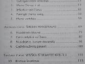 Eik į savo kambarėlį: dvasinės pratybos - nuotraukos Nr. 2