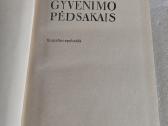 A. Vienuolio gyvenimo pėdsakais - nuotraukos Nr. 2