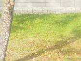 Žiūronai Cordonar 8x40 su dėklu - nuotraukos Nr. 6