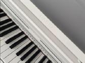 Celviano casio Ap-s200 - nuotraukos Nr. 5