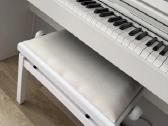 Celviano casio Ap-s200 - nuotraukos Nr. 6