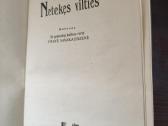 Francoise Sagan "Netekęs vilties" - nuotraukos Nr. 5
