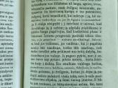 Francoise Sagan "Netekęs vilties" - nuotraukos Nr. 7