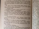 Stefanas Cveigas "Širdies nerimas" - nuotraukos Nr. 11