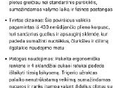 Trinkelių,terasų plovimo įrenginys - nuotraukos Nr. 12