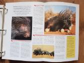 Enciklopedija skelbimai - nuotraukos Nr. 6