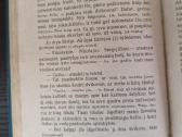 F. Dostojevskis "Pažemintieji ir nuskriaustieji" - nuotraukos Nr. 9