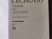 Antonas Čechovas "Namas su mezoninu" - nuotraukos Nr. 5