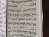 Stendalis "Hercogienė de Paliano" - nuotraukos Nr. 6