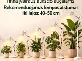Toršerai, LED lempos augalams ir komplektai - nuotraukos Nr. 15