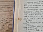 Liao Čžajo pasakojimai apie nebūtus dalykus - nuotraukos Nr. 7