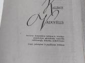 Lietuvių kalbos vadovėlis - nuotraukos Nr. 2