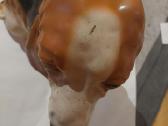 Didelė keraminė šuns statulėlė, 47 cm - nuotraukos Nr. 4