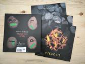 Vinilinės plokštelės, Lp dėklas-lagaminas - nuotraukos Nr. 16