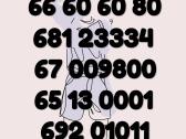Gražus VIP numeris 688886 ,544443,177771 , 50€/vnt - nuotraukos Nr. 4
