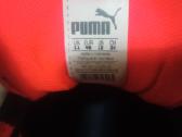 Puma evospeed 48 - nuotraukos Nr. 5