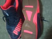 Puma evospeed 48 - nuotraukos Nr. 4
