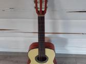 Klasikinė gitara - nuotraukos Nr. 2