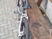 Trek Session88 dowhill bike - nuotraukos Nr. 3