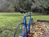 Fausto Coppi fixed gear - nuotraukos Nr. 5