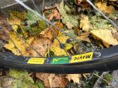 Fausto Coppi fixed gear - nuotraukos Nr. 7