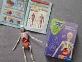 Mokomasis žaislas, Skeletas dėlionė - nuotraukos Nr. 2