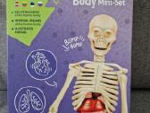 Mokomasis žaislas, Skeletas dėlionė - nuotraukos Nr. 3