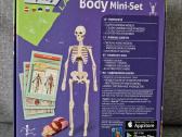 Mokomasis žaislas, Skeletas dėlionė - nuotraukos Nr. 4