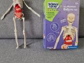 Mokomasis žaislas, Skeletas dėlionė - nuotraukos Nr. 5