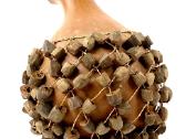 Shekere Gourd mušamasis instrumentas - nuotraukos Nr. 4