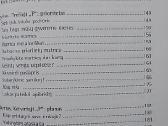 Darbo aistra: kaip susirasti mėgstamą darbą - nuotraukos Nr. 5