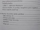 Darbo aistra: kaip susirasti mėgstamą darbą - nuotraukos Nr. 6