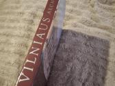 Vilniaus architektūra - nuotraukos Nr. 2