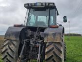 Massey Ferguson 3645 - nuotraukos Nr. 2