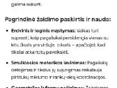 Lavinimo žaidimai - nuotraukos Nr. 3