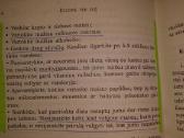 Jeremy R.geffen knyga "Kelione per vezi" - nuotraukos Nr. 12