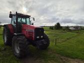 Messej ferguson 8150 - nuotraukos Nr. 2