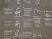 Maniežas - nuotraukos Nr. 9