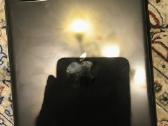 iPhone 11.128 GB - nuotraukos Nr. 5