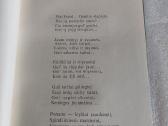 Nelūdėk, berželi - nuotraukos Nr. 3