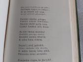Nelūdėk, berželi - nuotraukos Nr. 5