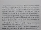 Nugalėtojas lieka vienas - nuotraukos Nr. 3