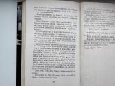 J. Baltušis. Su kuo valgyta druska. 1,2 dalys - nuotraukos Nr. 10