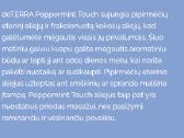 Naujas Doterra eterinis aliejus Peppermint Touch - nuotraukos Nr. 4