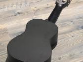 Gitara - nuotraukos Nr. 5