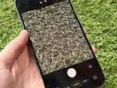 Apple iPhone 12 Pro Max 256gb Graphite - nuotraukos Nr. 8
